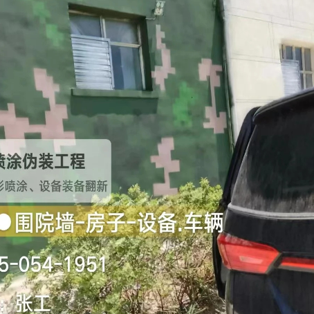 南充数码迷彩漆施工